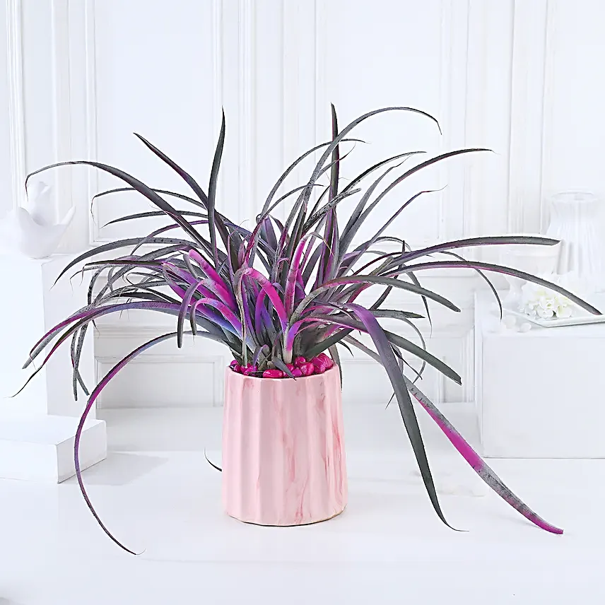 Pineapple Pink Pot Harmony