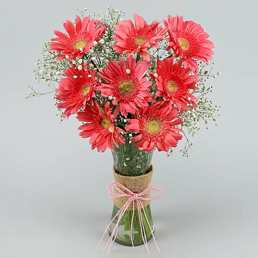 Pink Marvel Gerbera Vase