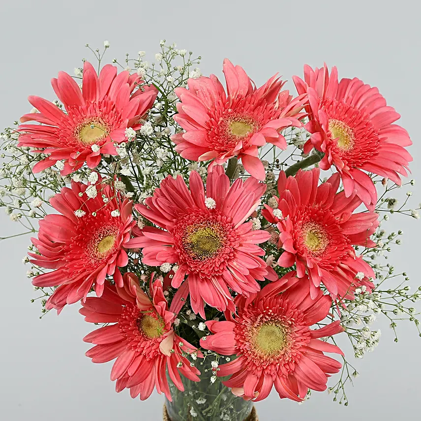 Pink Marvel Gerbera Vase
