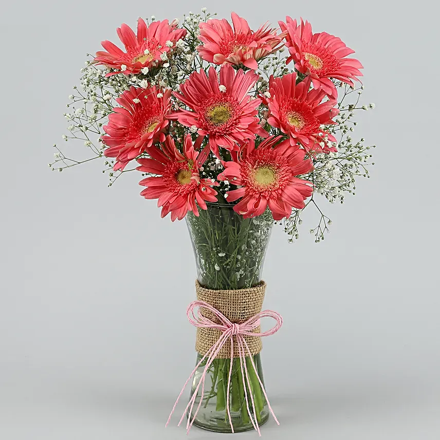 Pink Marvel Gerbera Vase