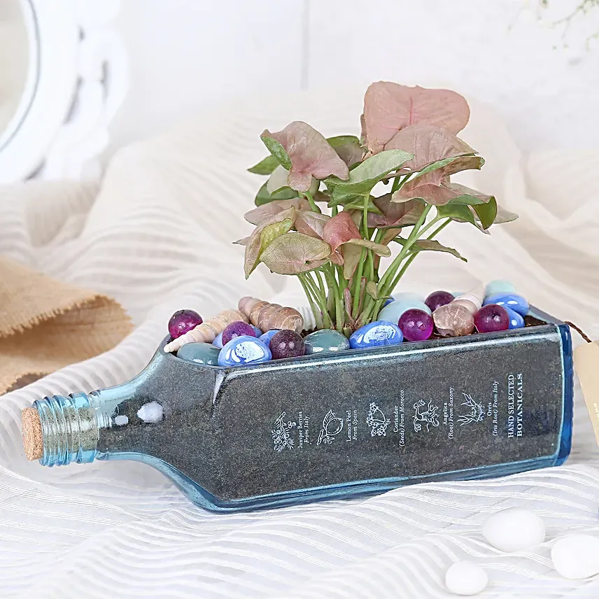 Pink Syngonium Plant In Bombay Sapphire Bottle Planter