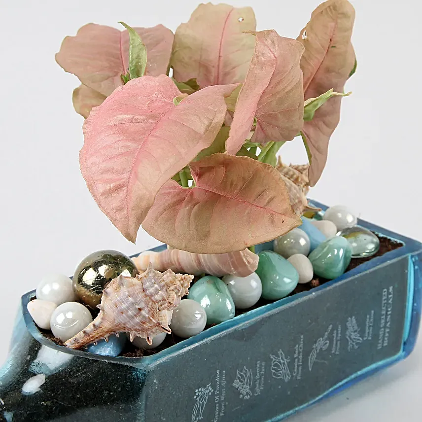 Pink Syngonium Plant In Bombay Sapphire Bottle Planter