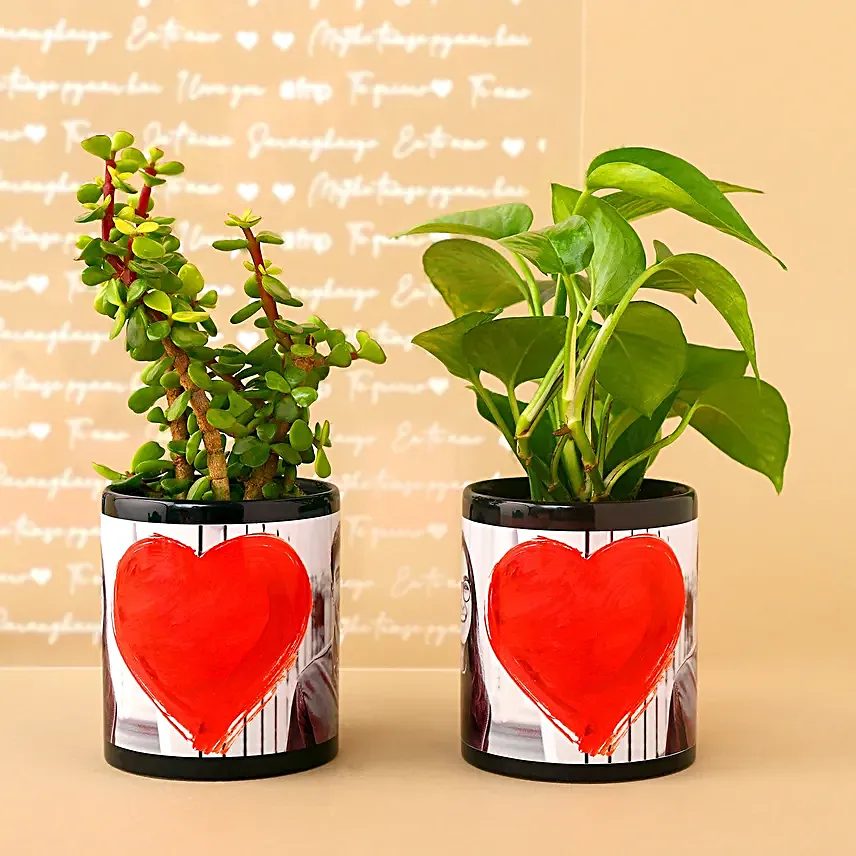 Plants In Personalised Couple Love Mug Set