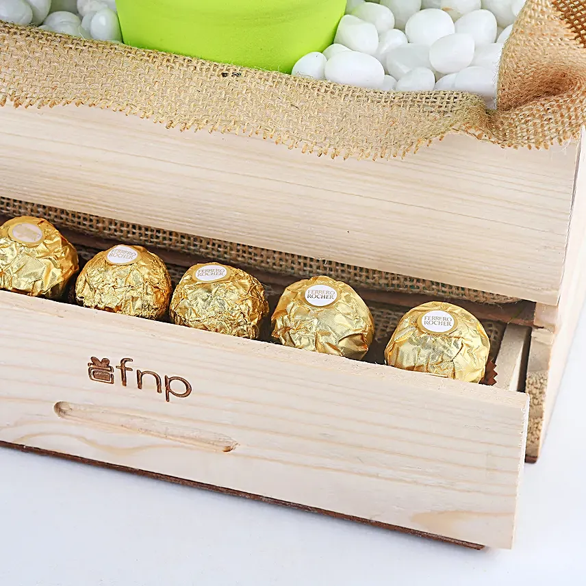 Online Plants And Rocher Choco Basket