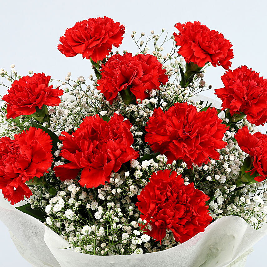 Pop Of Love Carnations Bouquet Greeting Card
