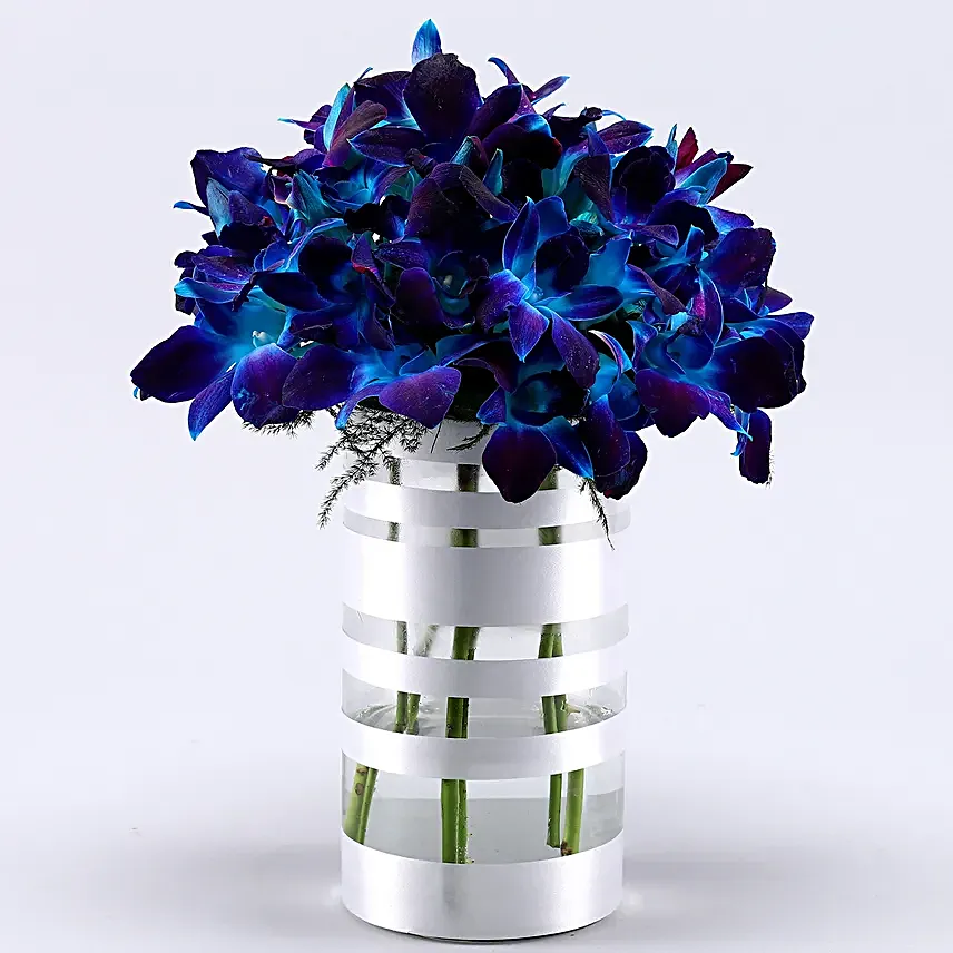 Premium Blue Orchids Arrangement