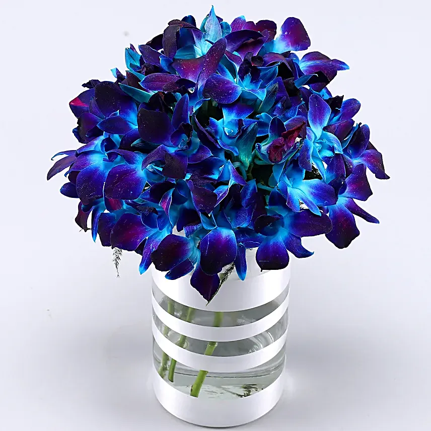 Premium Blue Orchids Arrangement