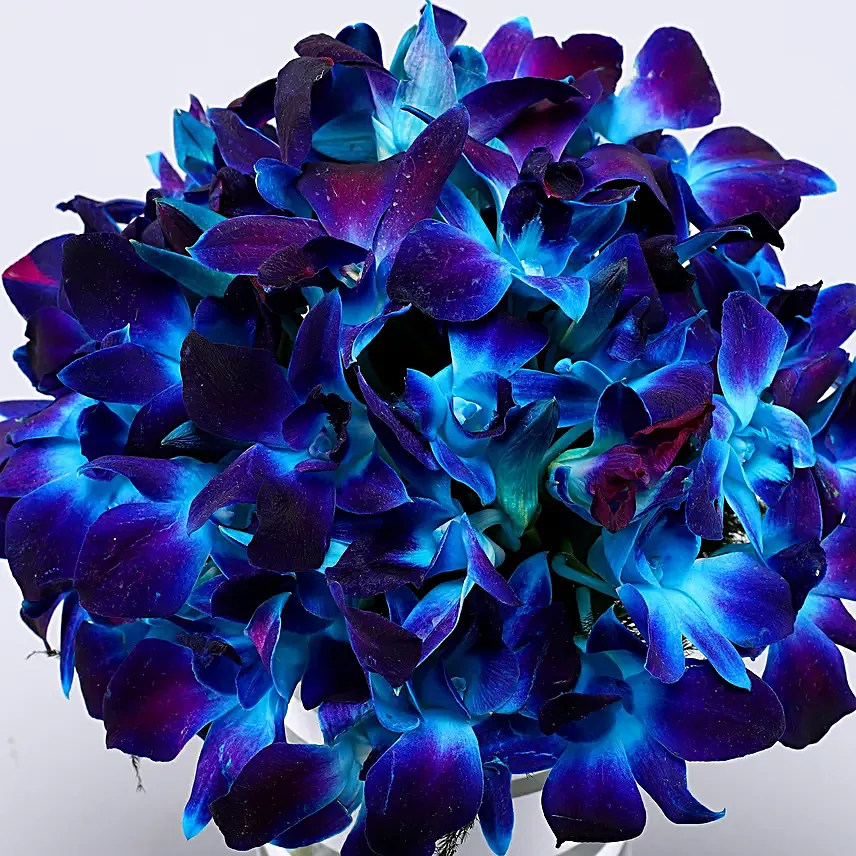 Premium Blue Orchids Arrangement