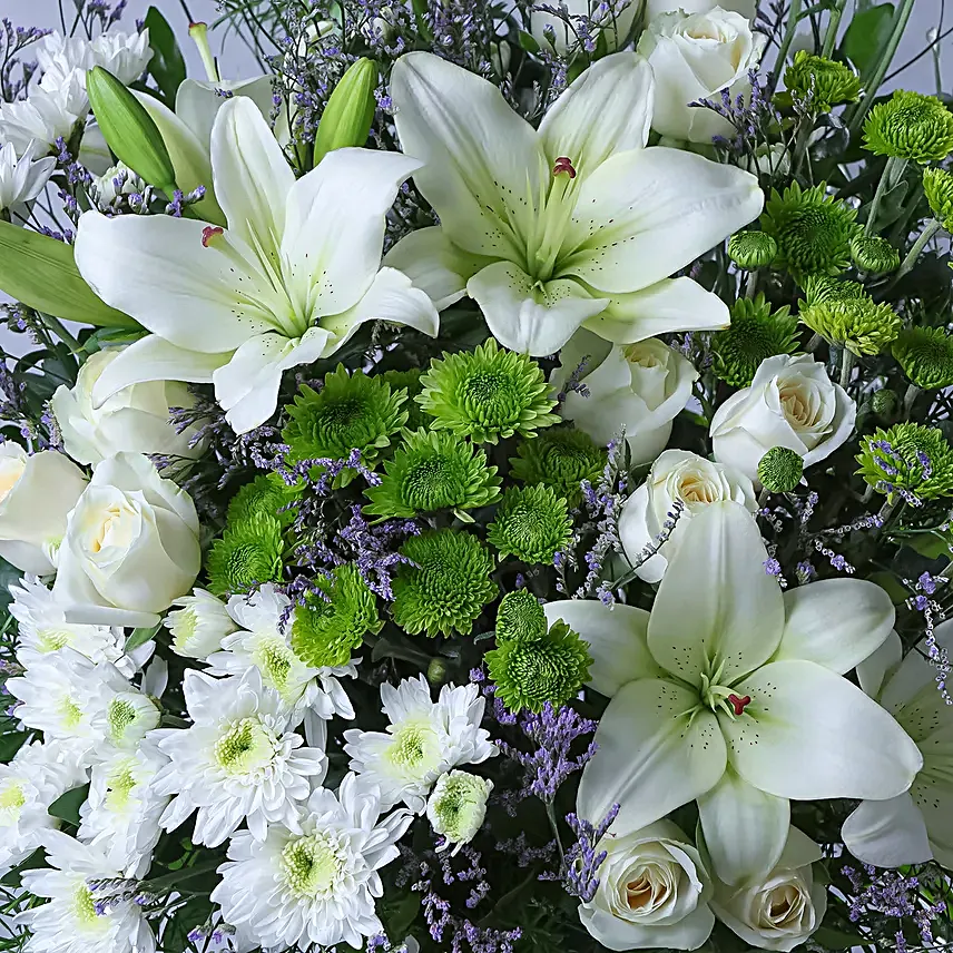 Pristine White Assemblage