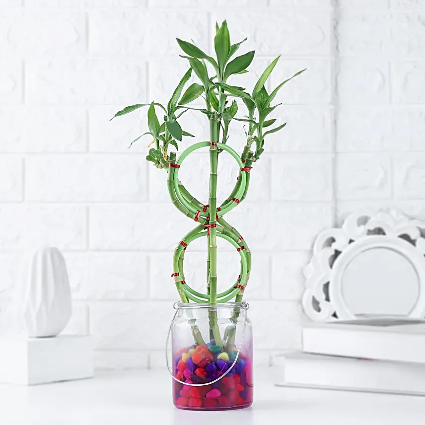 Prosperity 8 Shaped Bamboo Gift