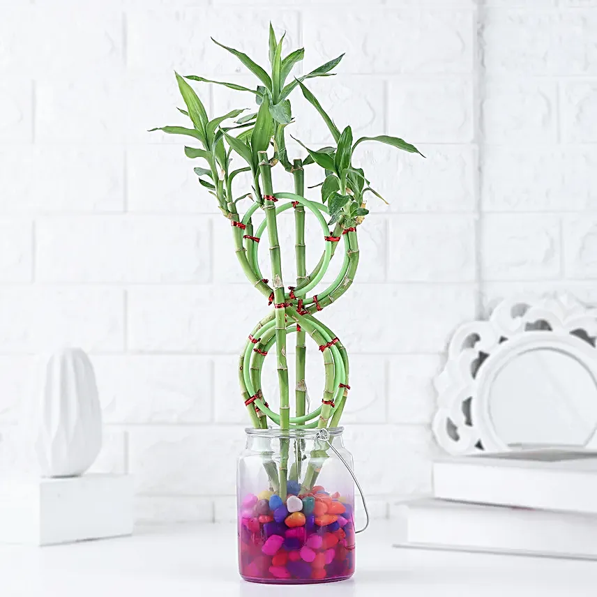 Prosperity 8 Shaped Bamboo Gift