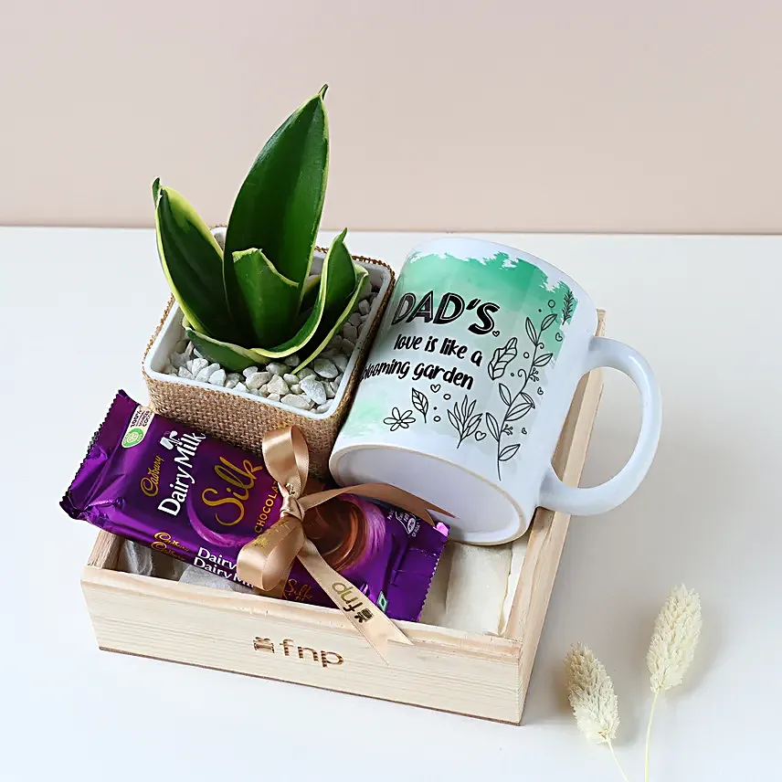 Purifying Plant N Sweet Treats Hamper for Dad