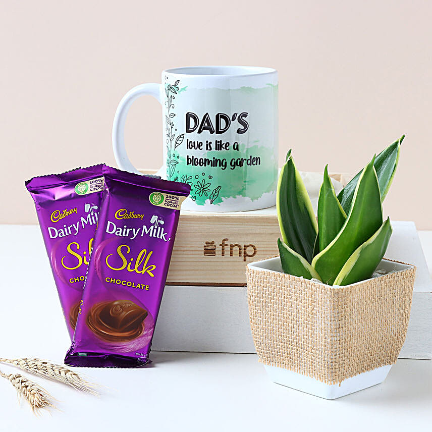 Purifying Plant N Sweet Treats Hamper for Dad
