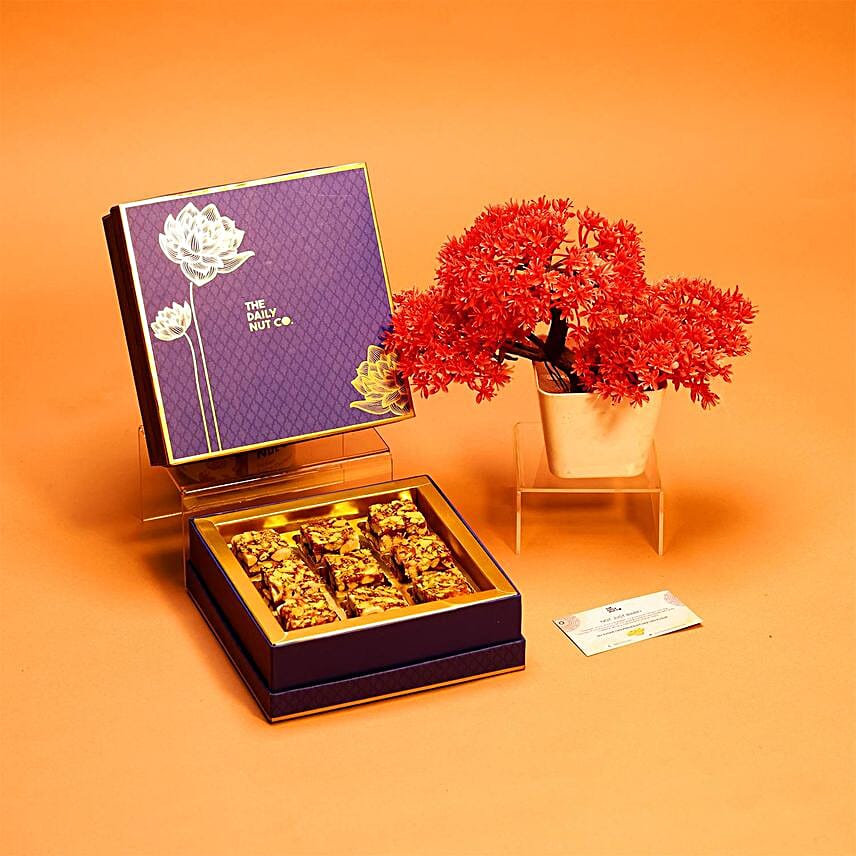 Rakhi Special Gourmet Barfi