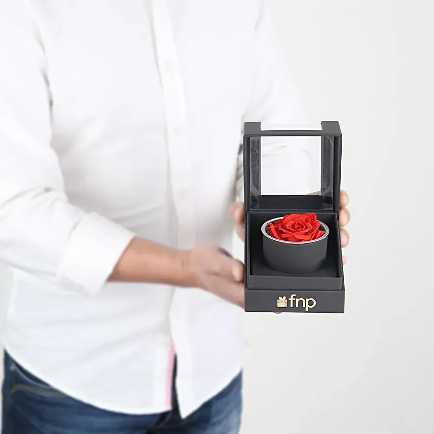 Red Forever Rose Gift Box