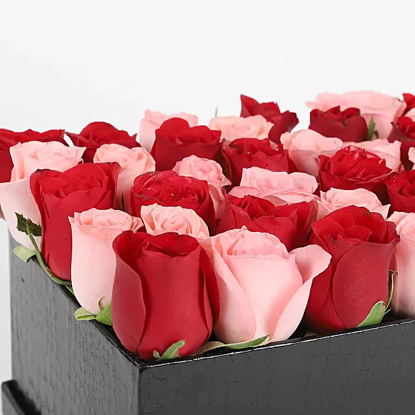 combo of 2 roses in black box arrangement