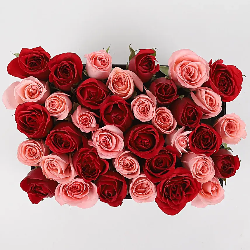 combo of 2 roses in black box arrangement