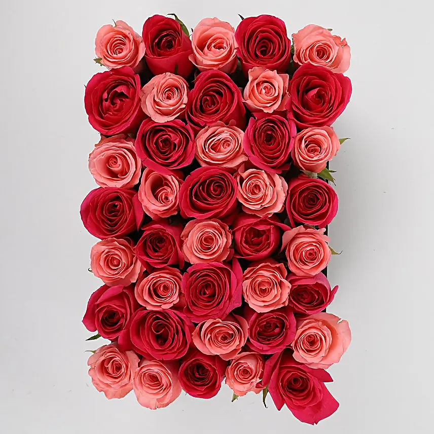 combo of 2 roses in black box arrangement
