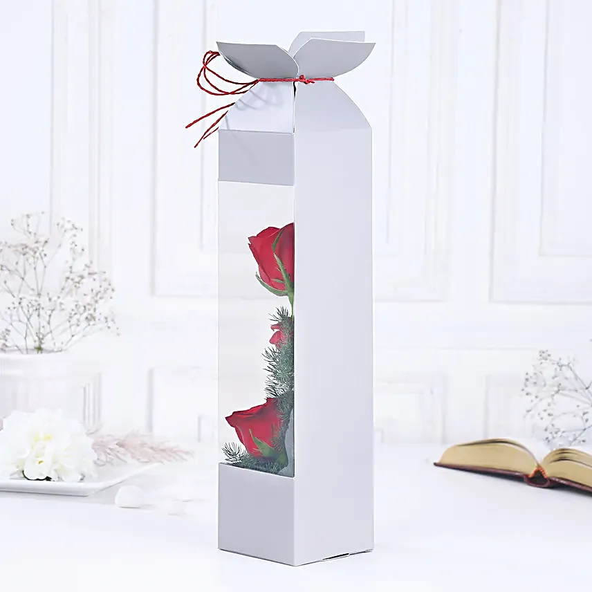 Red Rose Radiance