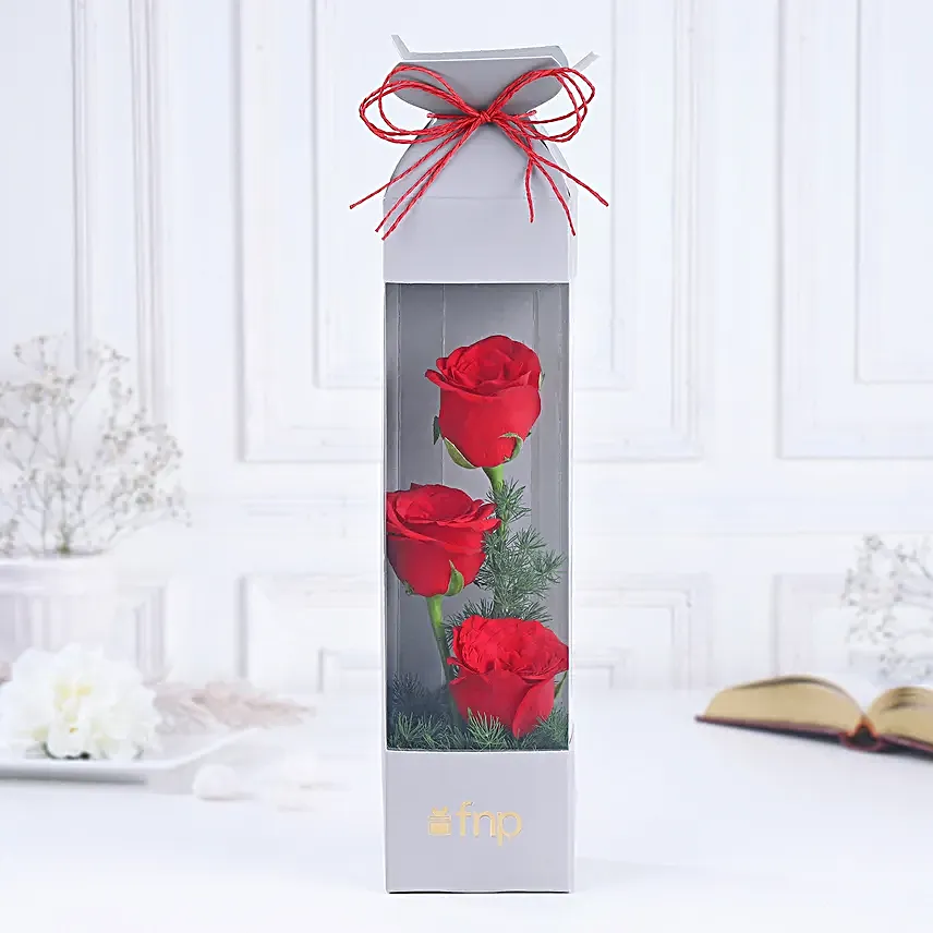 Red Rose Radiance