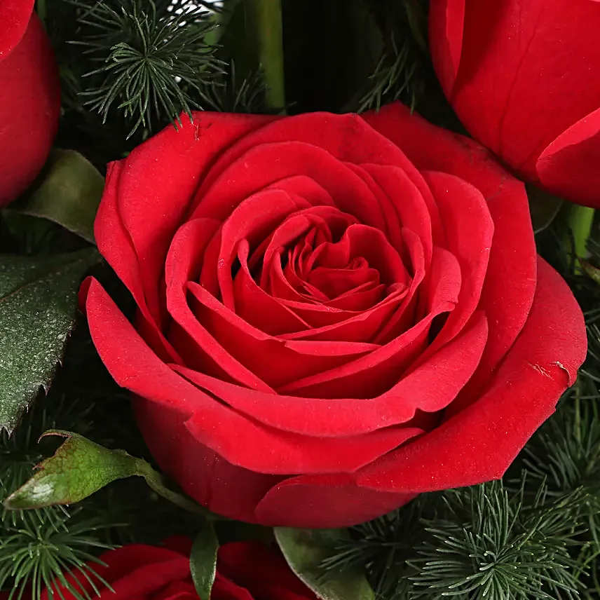 Red Roses Bunch In You Have My Heart Sticker Vase