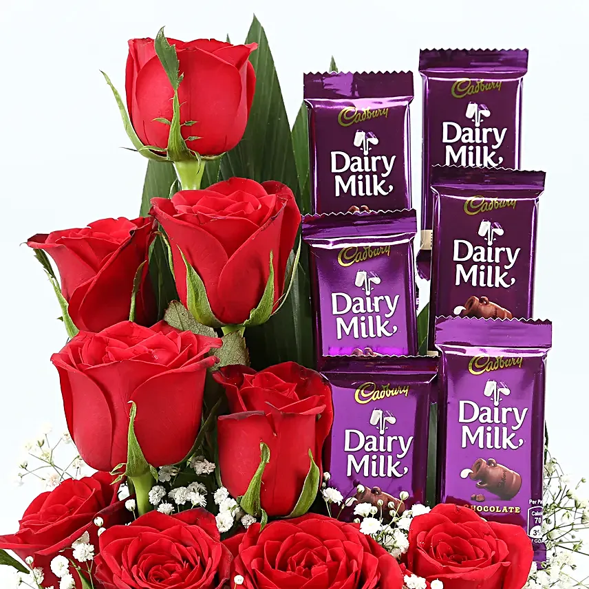 Red Roses Dairy Milk Arrangement In Round FNP Box