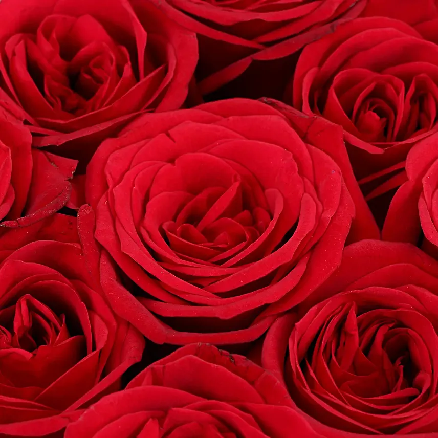 red rose arrangement for valentine