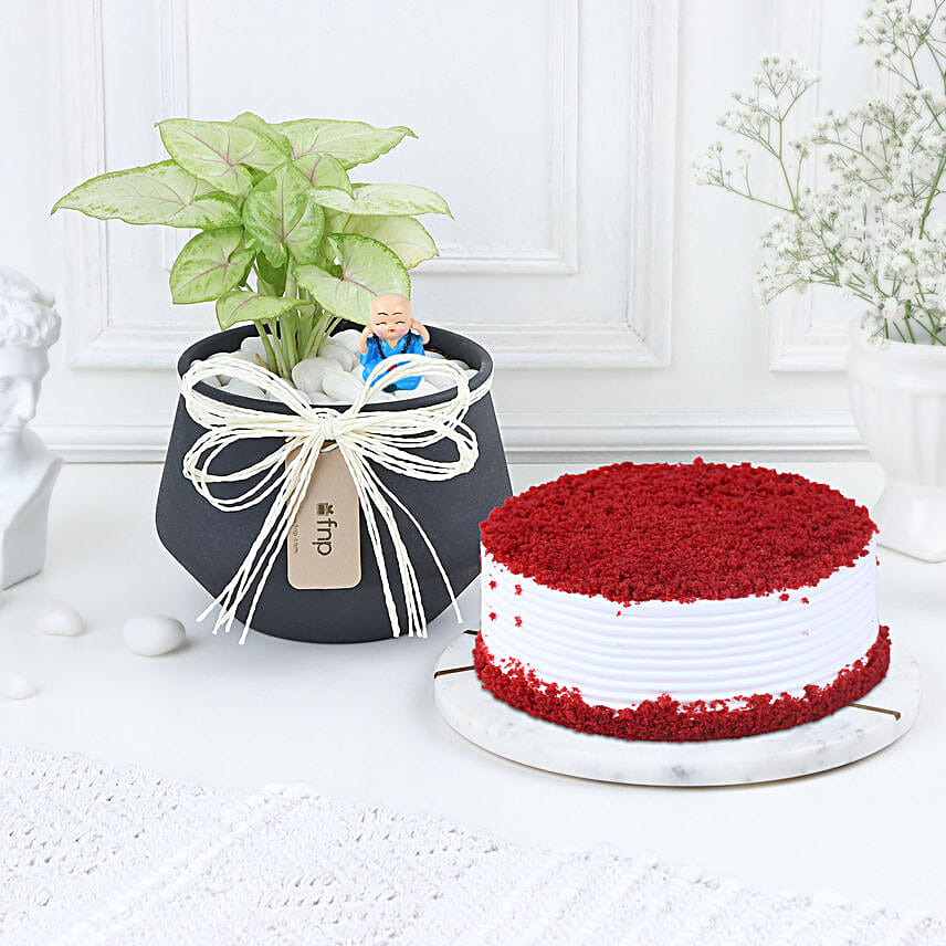 Red Velvet Serenity