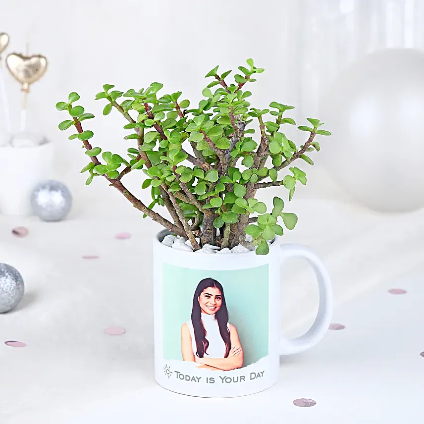 Resilient Jade Affair