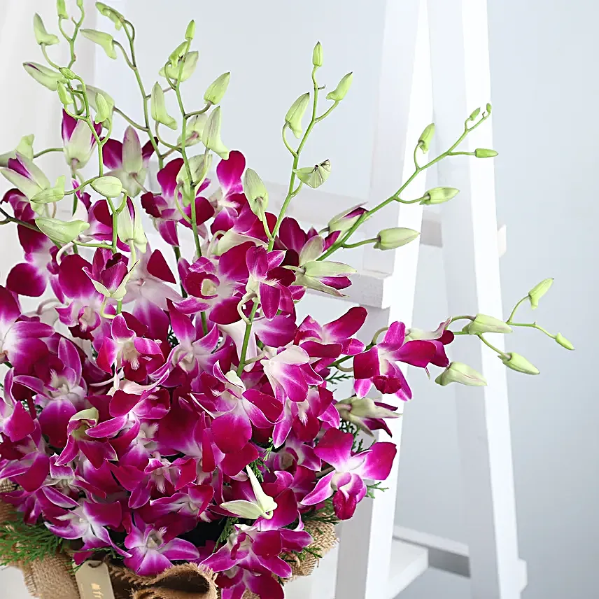 Orchids in a Vase Online