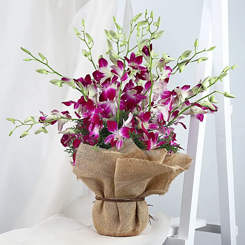 Orchids in a Vase Online
