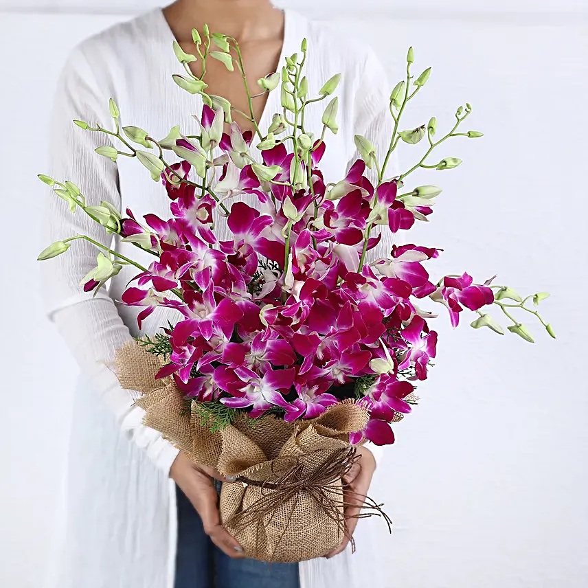 Orchids in a Vase Online