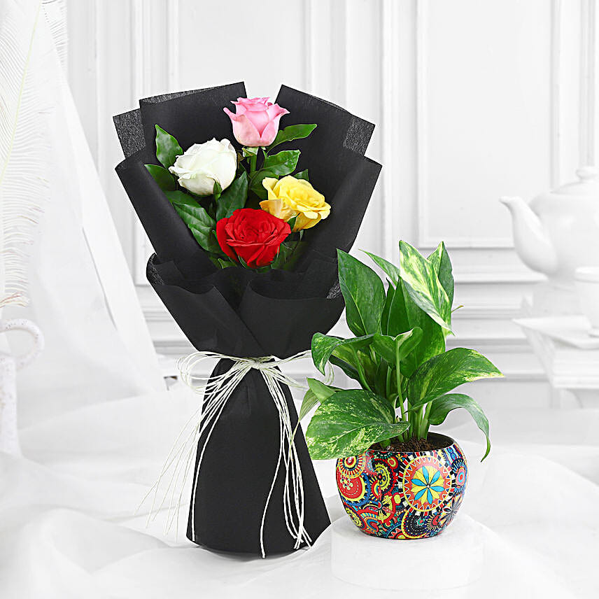 Rose Bouquet Bliss N Money Plant Combo