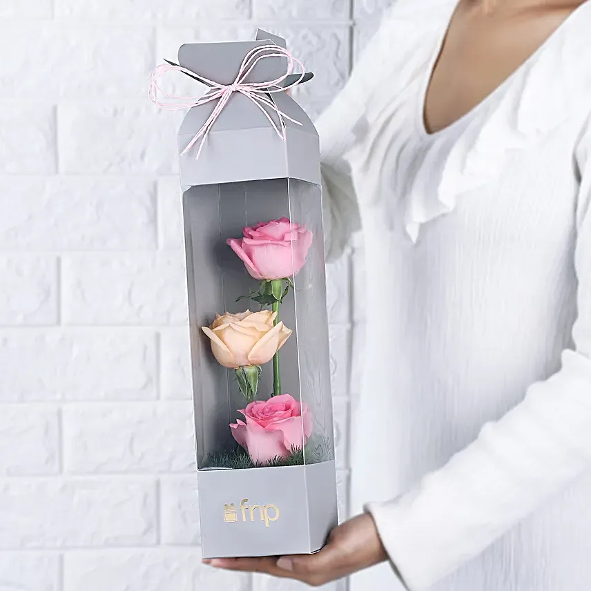Rose Radiance Mini Surprise