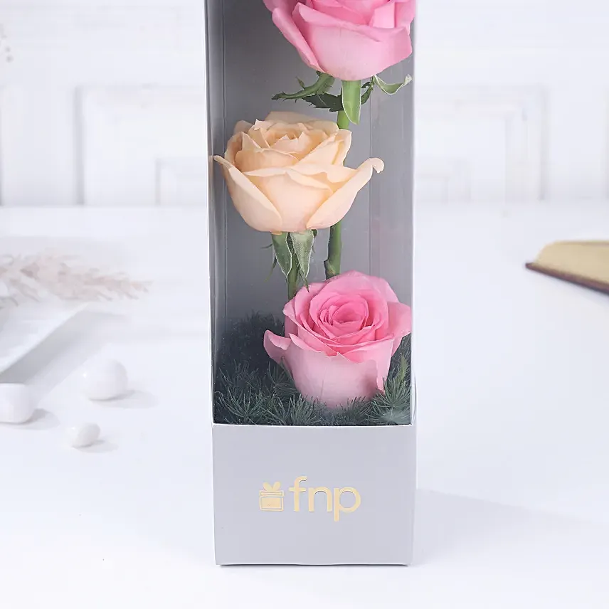 Rose Radiance Mini Surprise