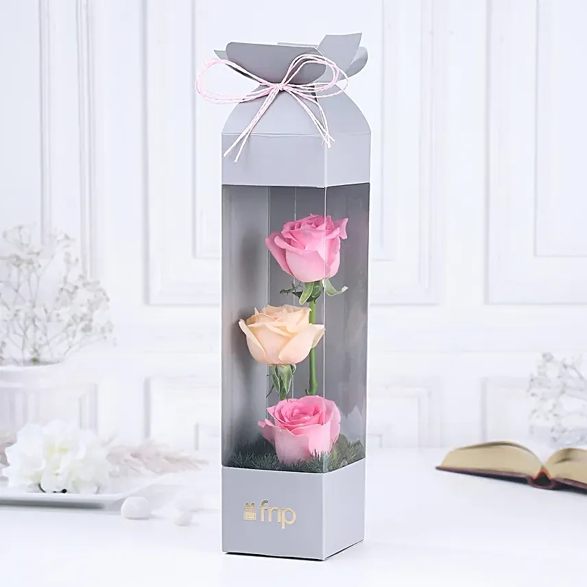 Rose Radiance Mini Surprise