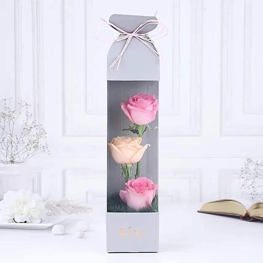 Rose Radiance Mini Surprise
