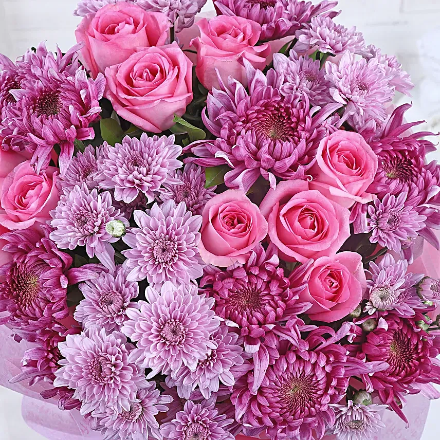Royal Daisy and Rose Serenade