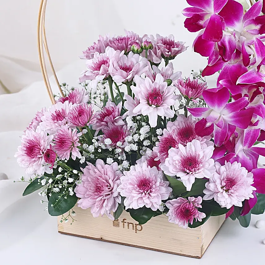 Royal Orchid N Daisy Embrace