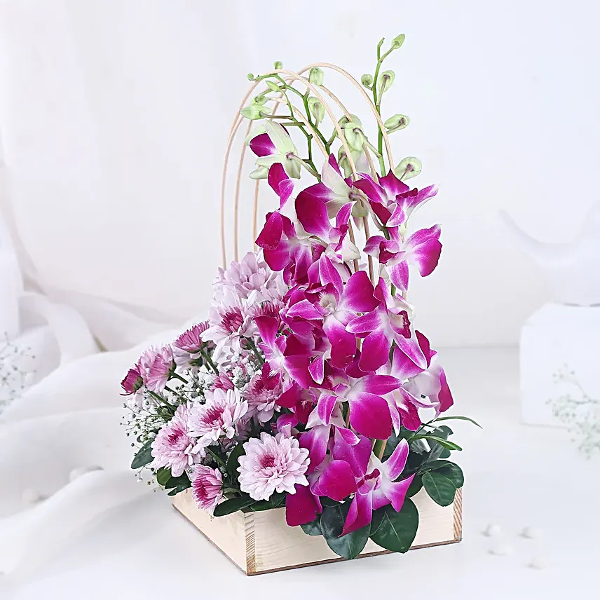 Royal Orchid N Daisy Embrace
