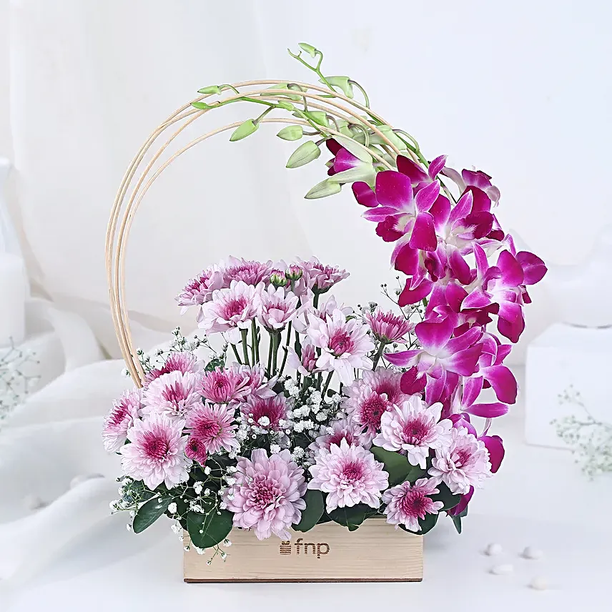 Royal Orchid N Daisy Embrace