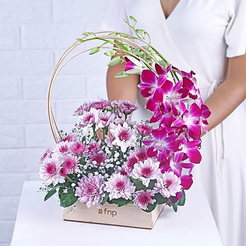 Royal Orchid N Daisy Embrace