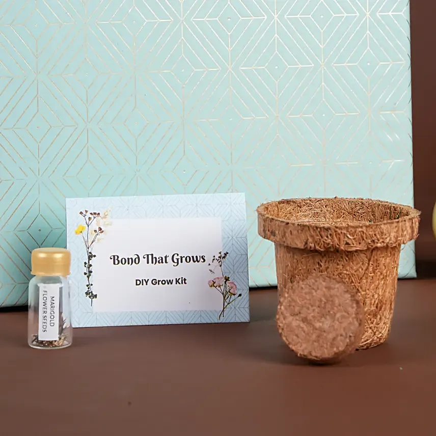Royal Snacks New Years Gift Box