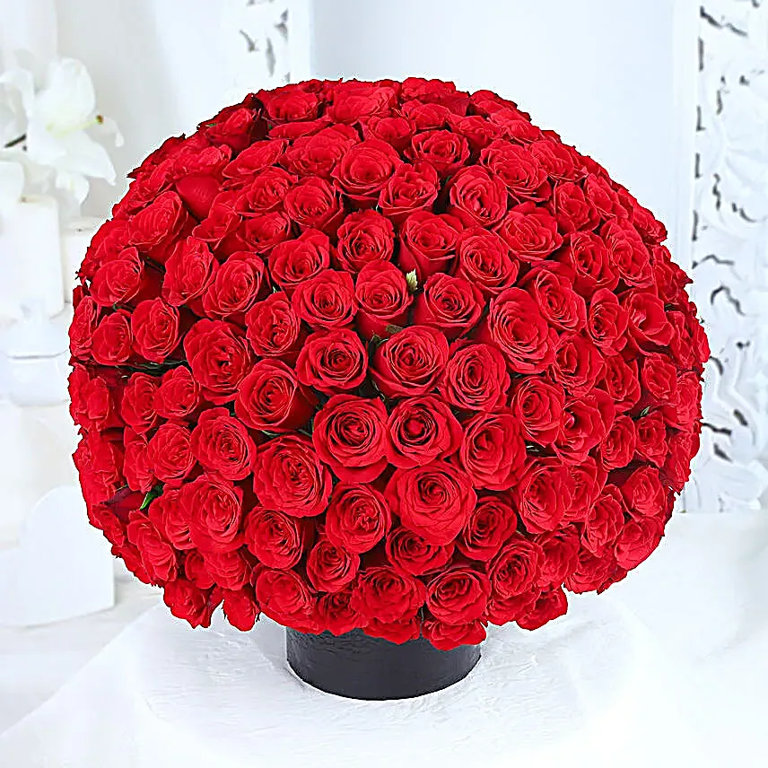 Ruby Romance Rose Bouquet