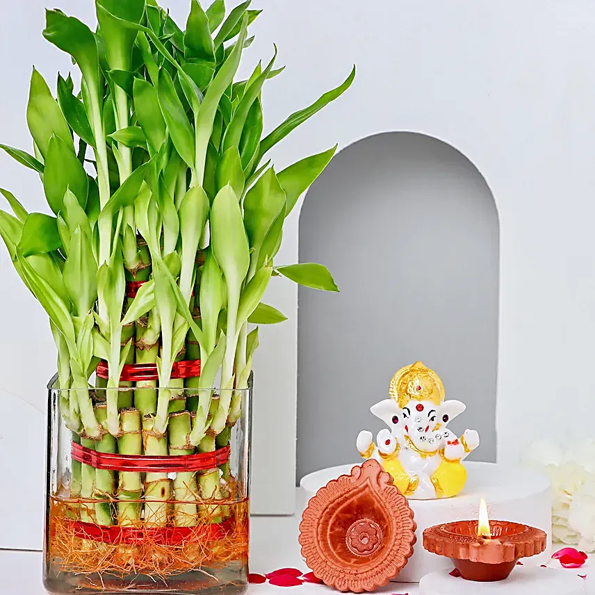 Sacred Bamboo N Illuminated Diwali