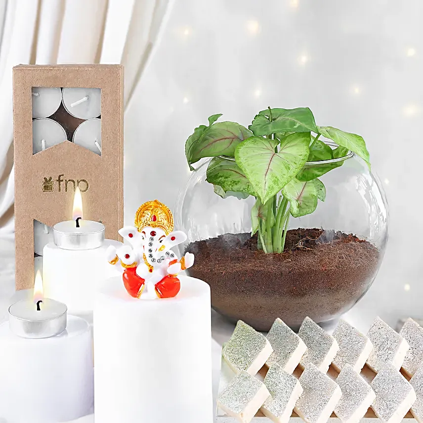 Sacred Glow N Sweetness Diwali Hamper