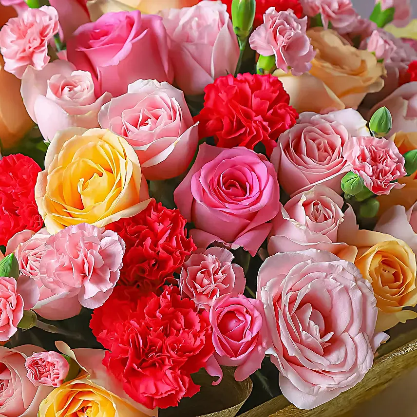 Saga of Blooms