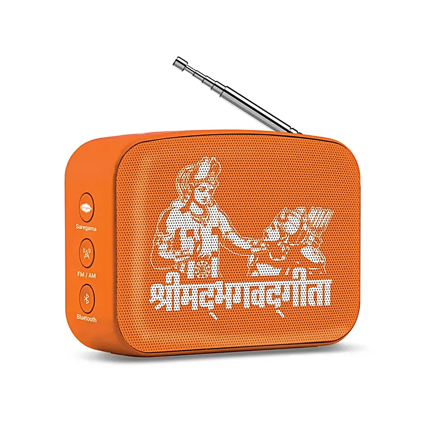 Saregama Carvaan Mini Bhagavad Geeta