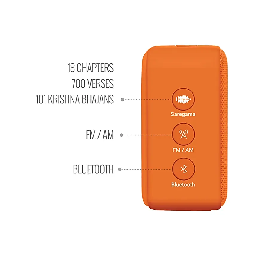 Saregama Carvaan Mini Bhagavad Geeta