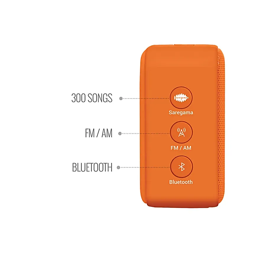 Saregama Carvaan Mini Bhakti  Devotional